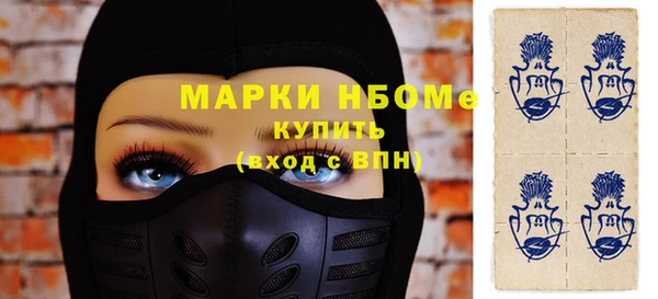 крисы Краснослободск