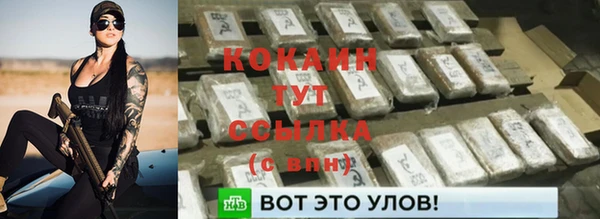 крисы Краснослободск