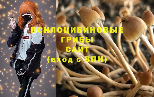 PSILOCYBIN Краснотурьинск