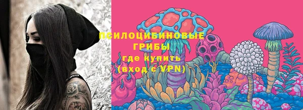 крисы Краснослободск