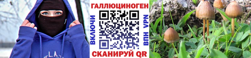 Галлюциногенные грибы GOLDEN TEACHER  закладки  Луза 